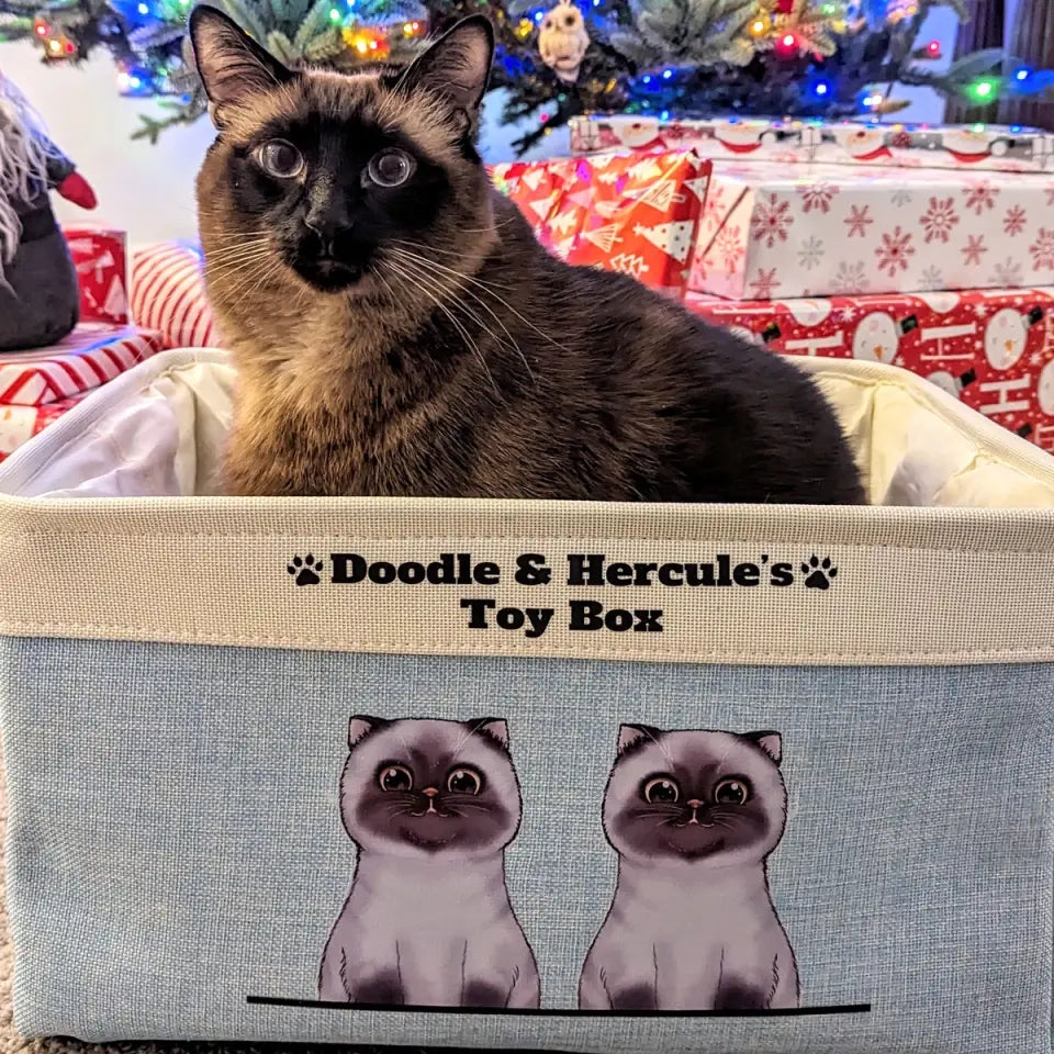 Mostly Paws⢠Personalized Cat Toy Box