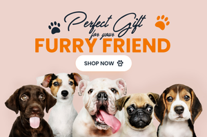 5 dogs against a dark pink background, underneath text "perfect gift for your furry friend"