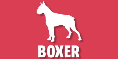 Boxer