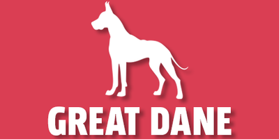 Great Dane