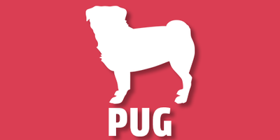 Pug
