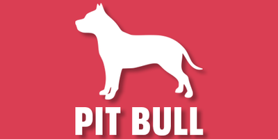 Pit Bull Terrier