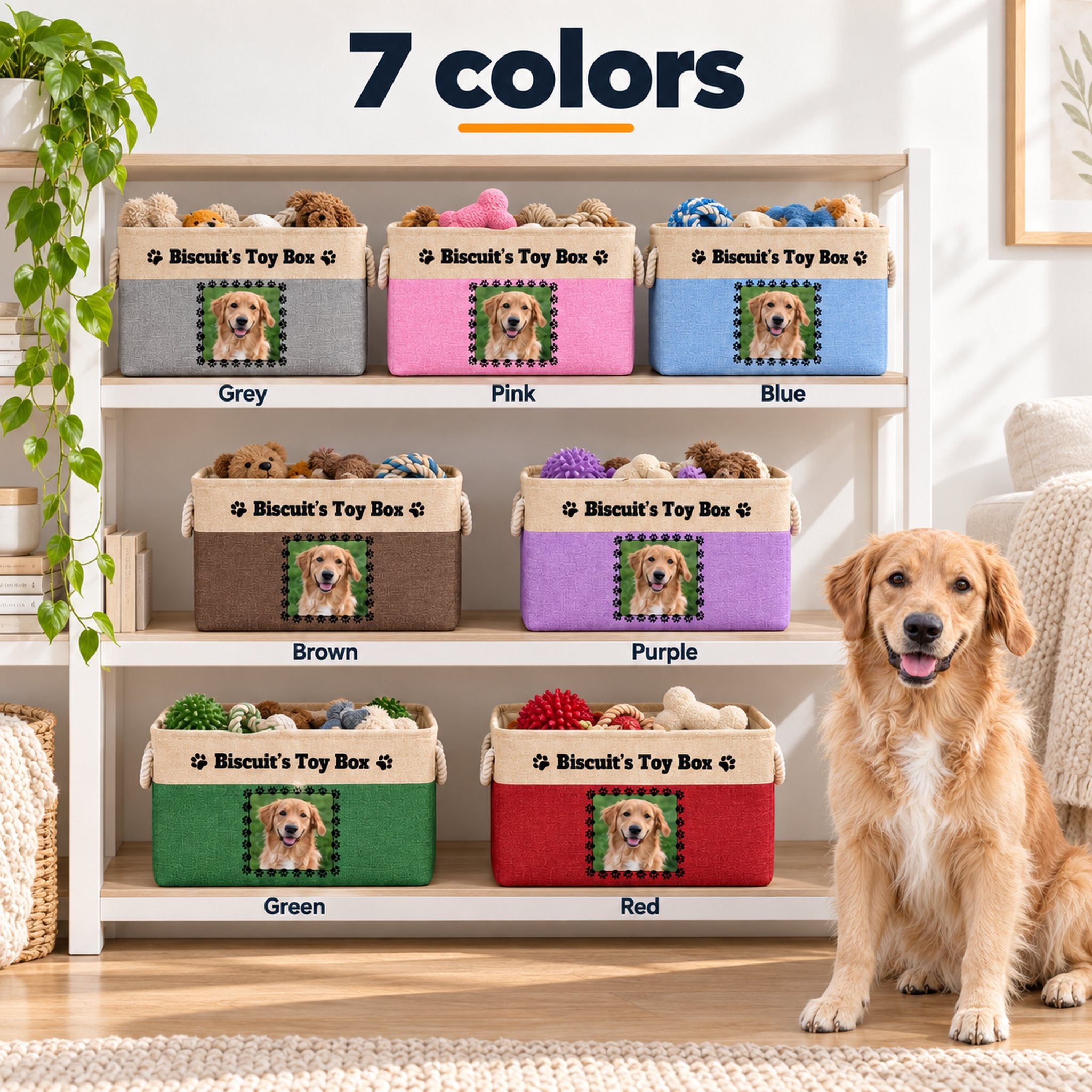 Personalized dog toy box in 7 colors on a shelf: grey, pink, blue, brown, purple, green and red