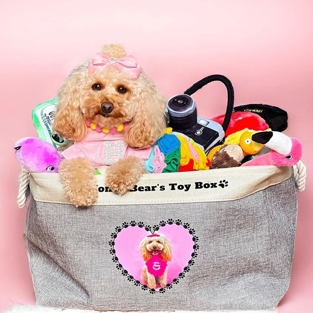 Poodle leaning over a grey personalized dog toy box full of toys, printed with her photo in a heart frame