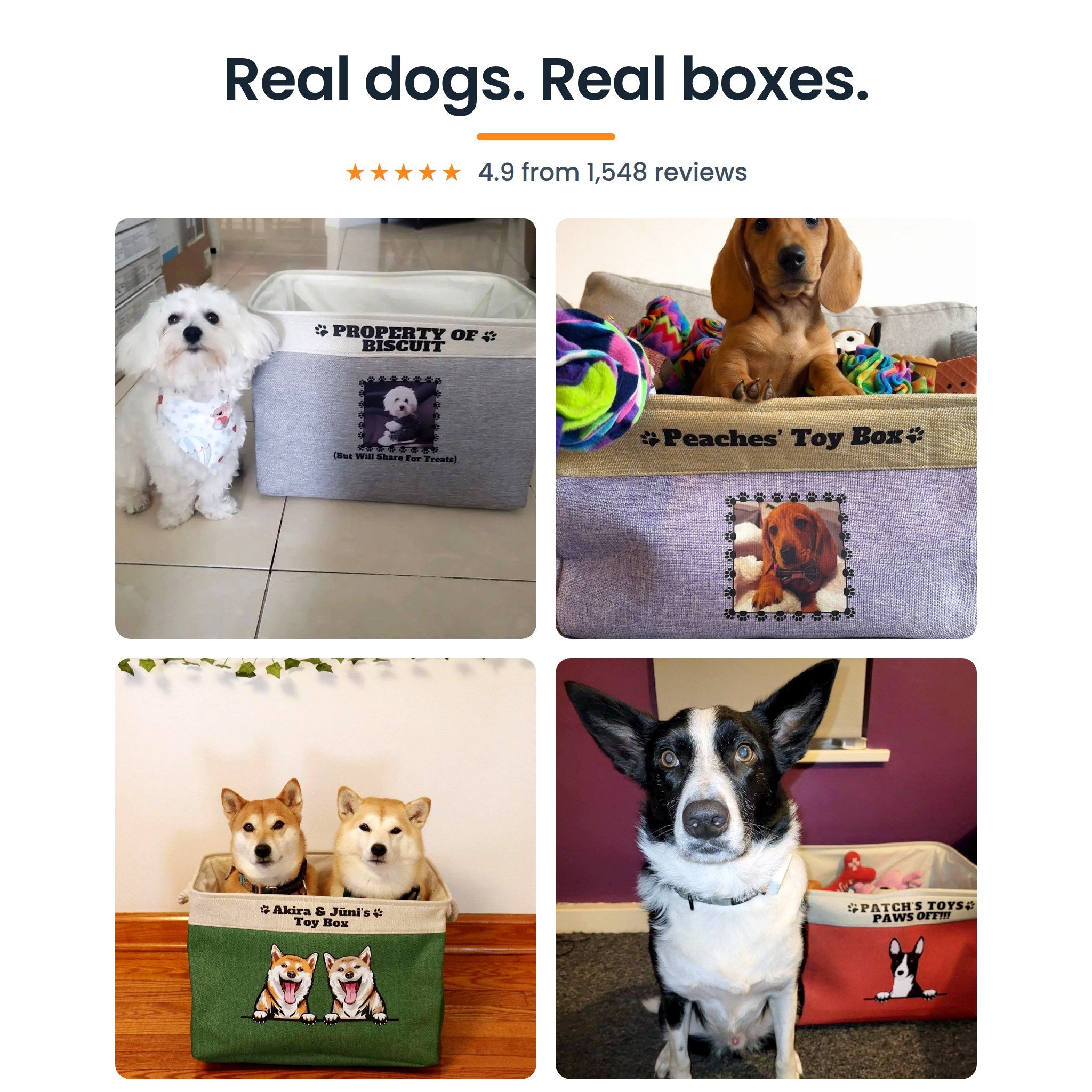 Four real customer dogs with their personalized toy boxes in grey, purple, green and red, rated 4.9 from 1,548 reviews
