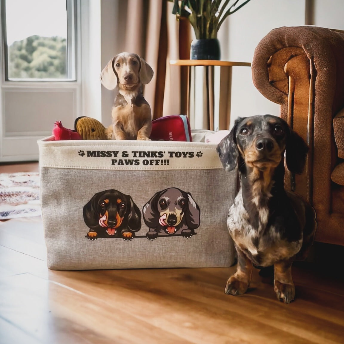 Two dachshunds with their grey personalized toy box, Missy & Tinks&