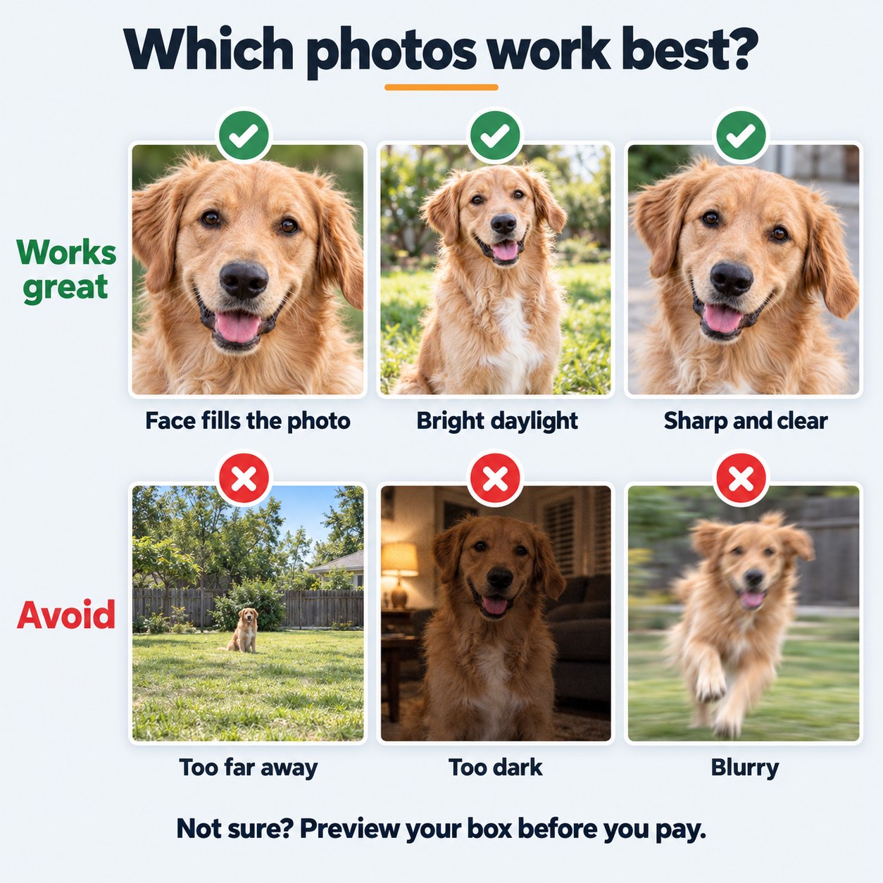 Examples of good and bad dog photos for a personalized toy box: face filling the frame, bright daylight and sharp focus work best; far away, dark or blurry photos don&