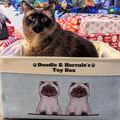 Mostly Paws™ Personalized Cat Toy Box