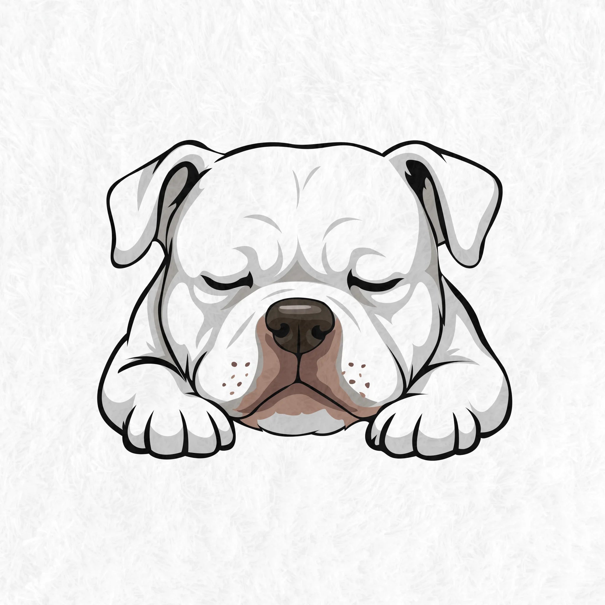 1000x1000-Blank-Decorative-Rugs