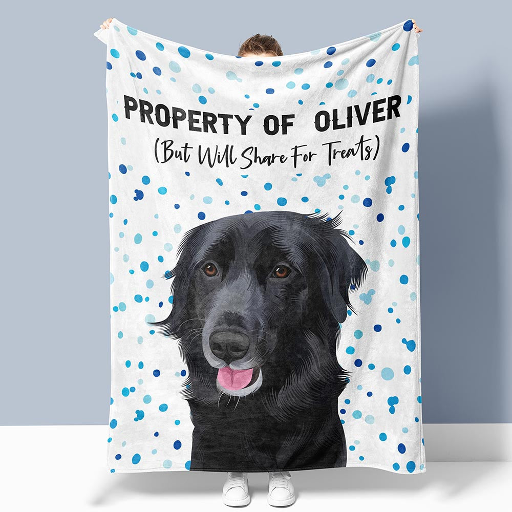 Custom Hand Drawn Pet Portrait Blanket