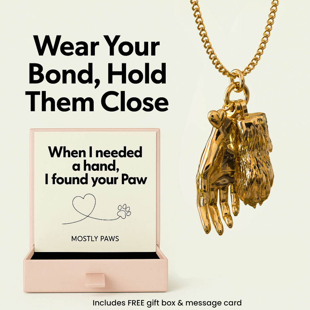 Forever Connected – Paw in Hand Pendant Necklace