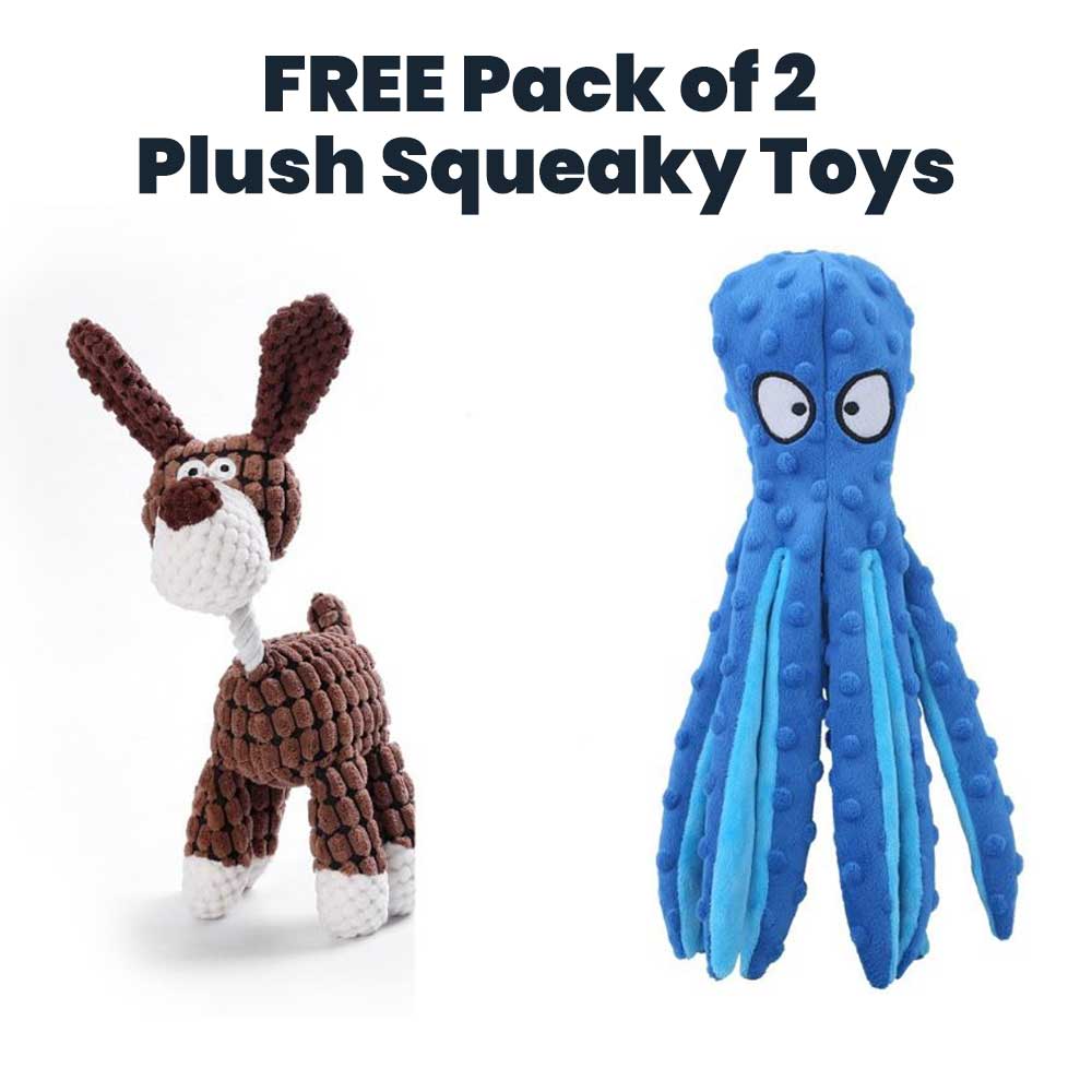 FREE Pack of 2 Plush Squeaky Toys MostlyPaws