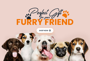 5 dogs against a dark pink background, underneath text "perfect gift for your furry friend"