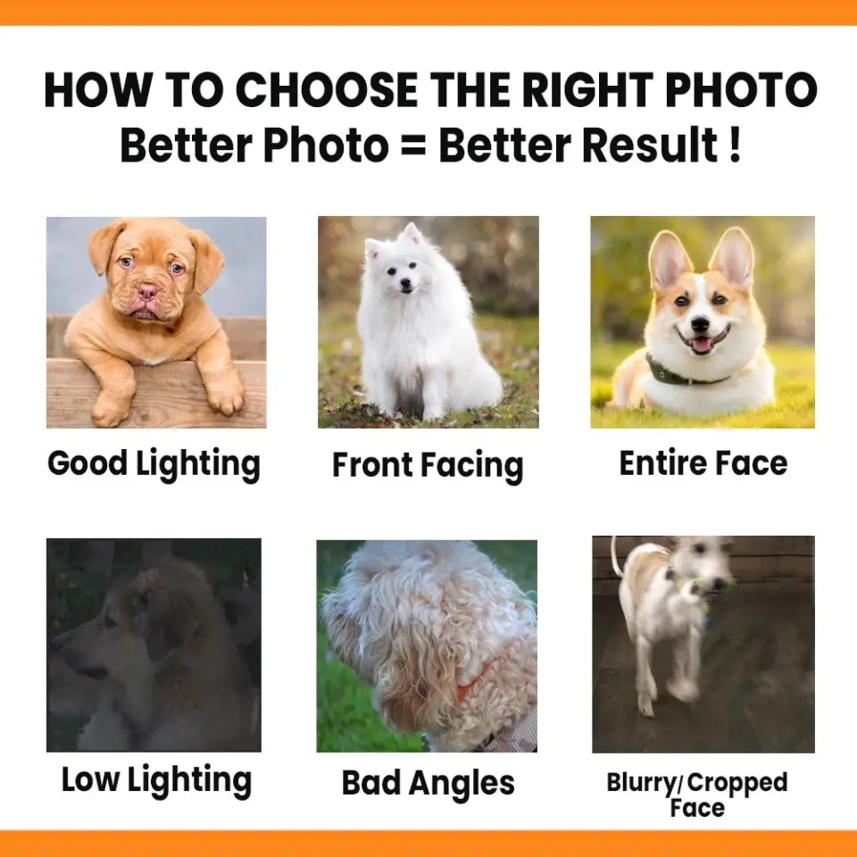 Guide to choosing the right pet photo for a personalized dog toy box