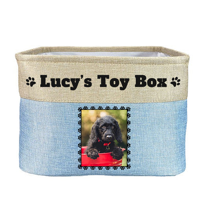 Light blue toy box with text "lucy's toy box", image of dog in rectangular frame on toy box