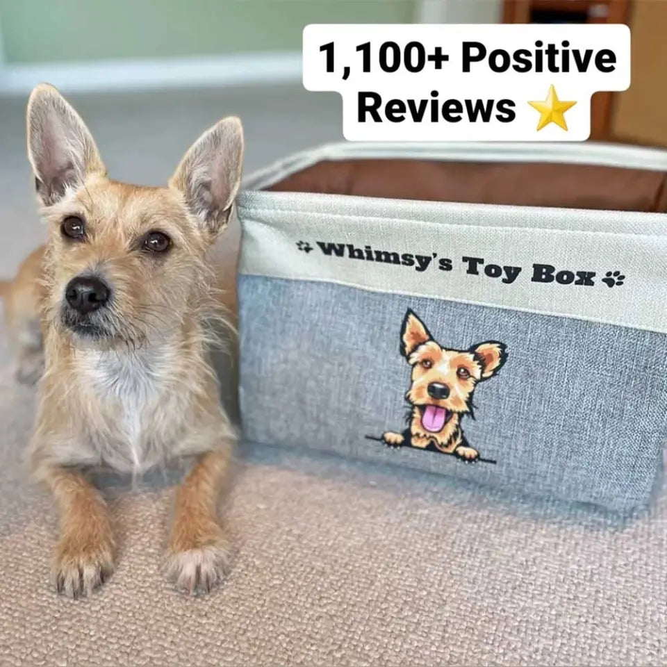 Tan dog sitting beside a personalized dog toy box in a living room