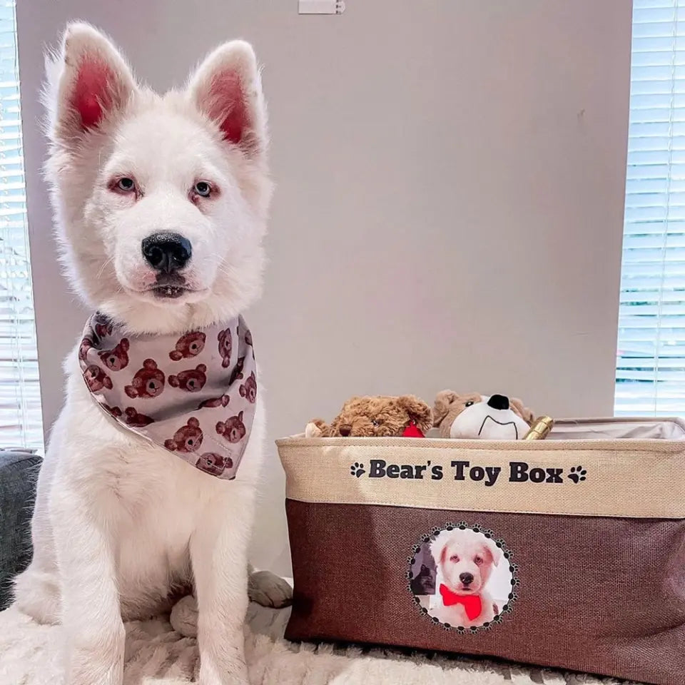 White husky beside a personalized dog toy box with their photo on the front