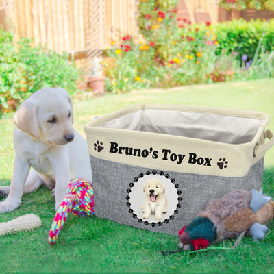 dog posing next to grey dog toy box