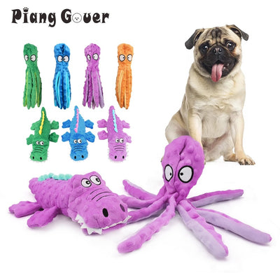 dog posing in front of various dog toys